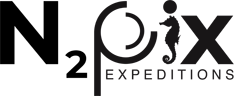 N2Pix Expeditions Logo